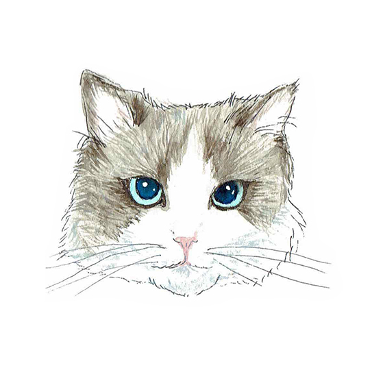 矢野すみれ　イラストレーションサイト