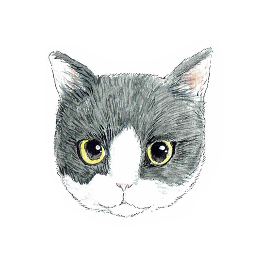 矢野すみれ　イラストレーションサイト